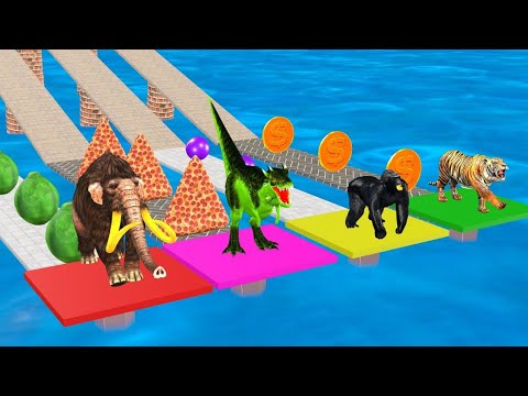 Animal Racing Horse MONKEY Dolphin Gorilla