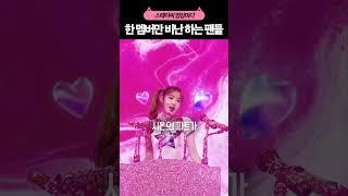 대놓고 멤버 배척중인 스테이씨 팬덤