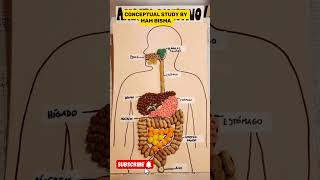 Science project ideas 2024|science amazing project ideas