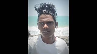 Rameshwaram Sabir Ansari#cattopper #lovelycat #automobile