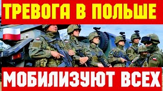 Poland Announced MOBILIZATION!!! CALLING ON UKRAINIANS!!!💥🇵🇱