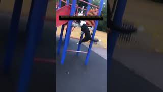 Dog Training Fails #shorts #DogTrainingFails
