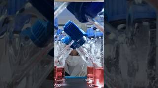Sustainable Chicken Made From Animal Cells and Plant-Based Ingredients #shorts