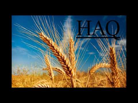 HAQ - ਹੱਕ - VICKY SINGH - LATEST PUNJABI SONGS 2020