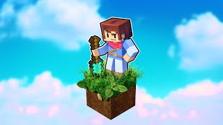 Minecraft But It's One REALISTIC Block!