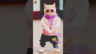 #funny #video# Aistuff#funny #cat #cute #shorts  #viralvideo #kittenslov #funny#mst Muñnä bhai 2000