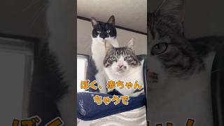 おっさんずラブ？#shorts