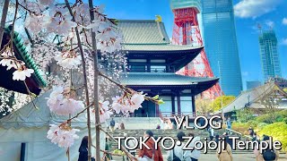 【VLOG】東京・Tokyo / 増上寺・Zojoji Temple 🌸 #4K