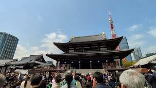東京　芝公園　増上寺　4月8日 花まつり