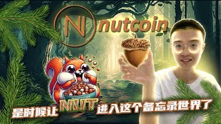 NutCoin：带来乐趣和奖励的终极加密平台