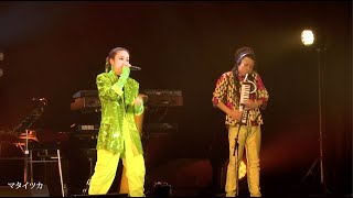 lecca 「マタイツカ」(lecca KICK OFF PARTY Live at ZeppNamba)