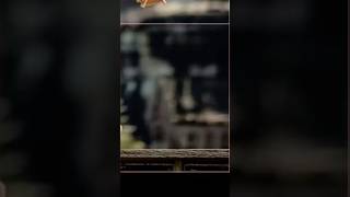 #ចាកចេញទៅអូនគិតត្រូវហើយ TikTok: 𝑁𝐻𝐴 #បទល្បីក្នុងtik_tok #បទល្បីក្នុងtik_tok2025