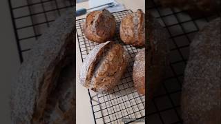 亞麻籽胡桃酸種歐包 Pecans & Golden Flexsseed Sourdough Bread #baking #sourdough #手作り #烘焙 #麵包#shorts