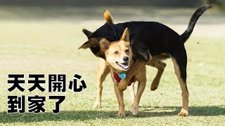 天天開心不用分離 母女一起邁向幸福｜浪浪到家了
