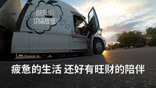 北美卡车司机连轴转的几天 | 疲惫之余还好有个伴~