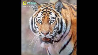 Sagar Sen