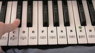 5.Pitch Training - listen to sharp & flat notes and their names