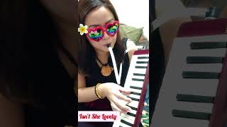 Isn't She Lovely #isntshelovely #steviewonder #melodica #melódica #pianica #melodicacover #ピアニカ