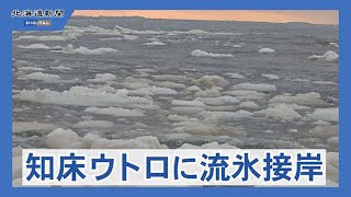 知床ウトロに流氷が接岸＜知床リポート＞