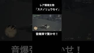 【MH:Wilds】レア環境生物「スナノリュウセイ」の捕獲方法❕　#モンハン #レア環境生物