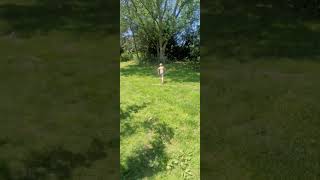 #flyingduck