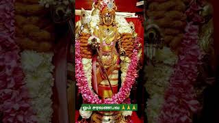 ஓம் சரவணபவ 🙏🙏🙏#ommuruganthunai #முருகாசரணம் #motivation #முருகன்துணை #devotional #ஓம்முருகாபோற்றி