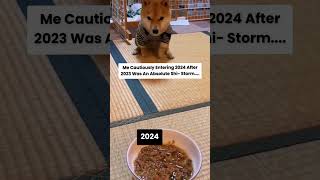 Funny Dogs Bringing Joy to Your Workday #2024 #dogs #puppy #cutedog