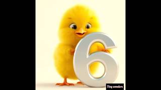 Numbers Songs 1-10 #numbers#numbersong # #kids#123numbers#count to 10song #number song for children