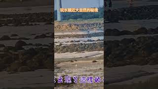 玩水親近大自然的秘境#遊客#暑假#拱天宮#進香#媽祖#黃昏#去哪玩#景點#宮廟#打卡#拜拜#美食#海#旅行#粉紅超跑#熱門#travel#沙灘#白沙屯#遶境#旅遊#活動#台鐵#廟口#cafe#火車