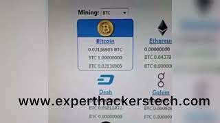 Bitcoin Hack 2022 check pinned comment