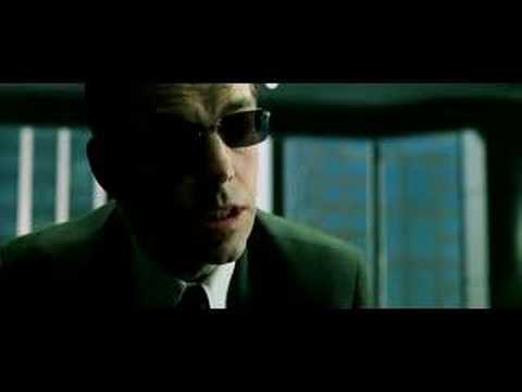 Matrix trailer