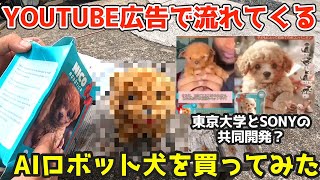 I bought an AI robot dog from a suspicious ad on YouTube, and the box I received was below TEMU...