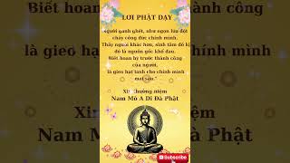 Phật Dạy: Đố Kị Là Gốc Khổ  #loiphatday #phatphap #phatphapungdung #baihoccuocsong  #trietlycuocsong