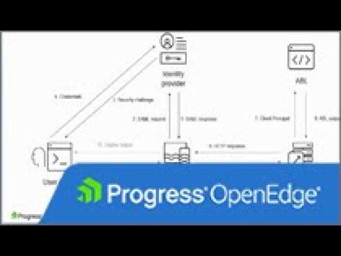 Overview of SAML in PAS for OpenEdge