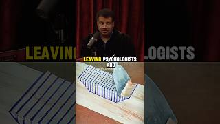 Predictions for year 2050 w/Neil deGrasse Tyson