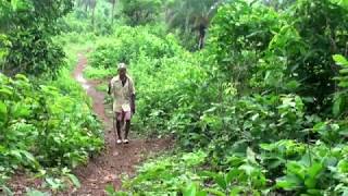 CLEAN INDIA, GREEN INDIA / (SWACHCHH BHARAT SUNDER BHARAT) क्लीन इंडिया ग्रीन इंडिया ।