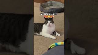 #PetMishaps#AdorablePetClips#Pet Pranks#animals#PetComedy