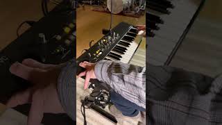 Waldorf STVC #synth #synthesizer #synthwave #vocoder #strings #sounddesign #soundscape #soundscapes