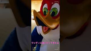 #usj #ウッデイ‼️💘#ウッディ最高‼️💘#Short#usjvlog #超元気特区