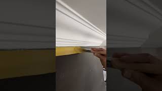 CUTTING IN LIKE A PRO #paintwarrior #youtube #ytshorts #viral #tips