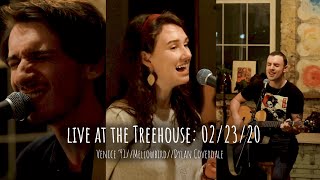 Venice '91, Mellowbird, & Dylan Coverdale | Treehouse Show 02/23/20 Recap