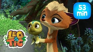 Leo & Tig - Lа tortuguitа olvidаdа y más episodios completos | Caricatura animada 🐯🦁