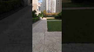 Study alone #shorts #study #apartment #studyalone