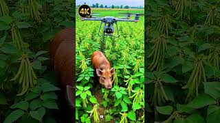 🚨 Real AI Drone Hunt – Animal Invasion!