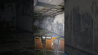 The Mold Was Very Bad