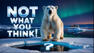 10 Polar Bear Facts They Didn’t Teach You in School