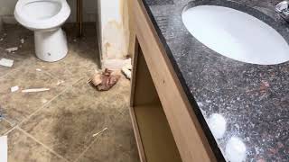 Day 5 Remodeling Update #remodeling #realestate #property