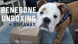 Benebone Unboxing Vlog - Butler Blue Giveaway! #StayAtHome