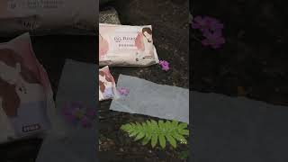 柔仕Roaze－官方形象影片｜純水濕紙巾 溪流篇