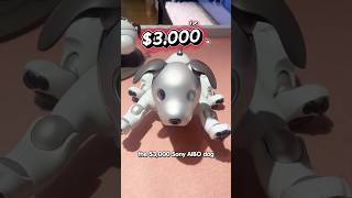 Is the $3000 SONY Aibo Robot Dog Worth It? 🐶🤖